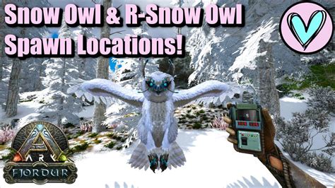Snow Owl R Snow Owl Spawn Locations Ark Fjordur YouTube