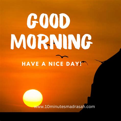 Beautiful Good Morning Images Hd Download For Whatsapp And Facebook