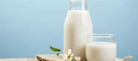 جامعة الرازي فوائد الحليب الصحية المذهلة
