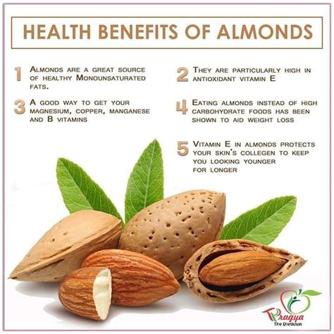 Health Benefits Of Almonds Almond Benefits Health Benefits Of