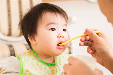 Ăn Dặm Kiểu Nhật Giai đoạn 2 Thực đơn ăn Dặm Cho Bé 7 8 Tháng Tuổi