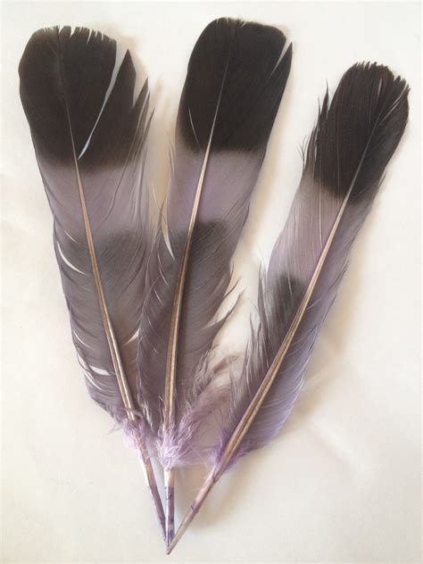 Me and my shadow: How to dye feathers