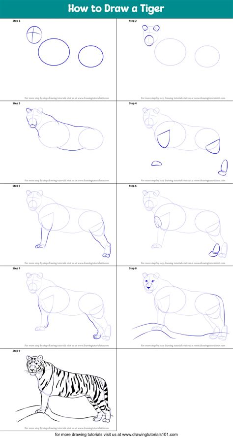 How To Draw A Tiger Step By Step Drawing Guide By Dawn Dragoart