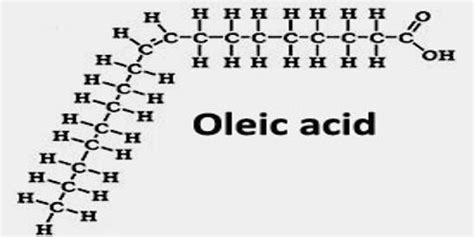 Oleic Acid Manufactureroleic Acid Exporter And Supplier In Chennai India