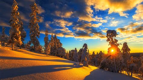 Winter Nature Wallpaper Free Wallpaper