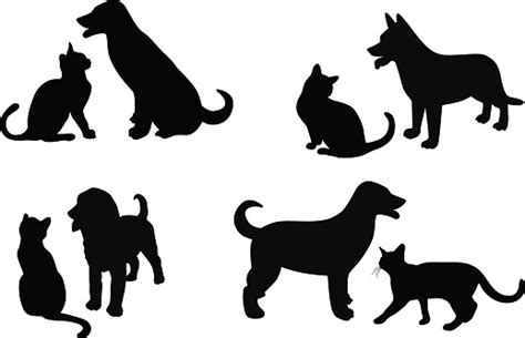 Cat And Dog Stock Illustration Download Image Now Istock