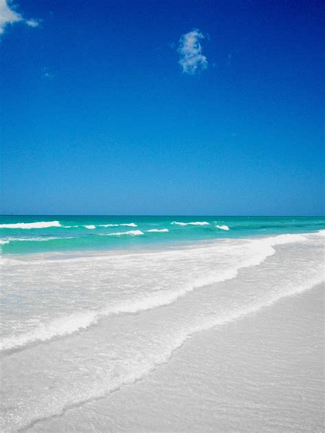 Siesta Key Resorts Florida Beaches Siesta Key Beach Beach