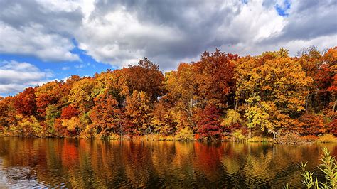 Wallpaper Autumn Forest Lake 5k Nature 15480