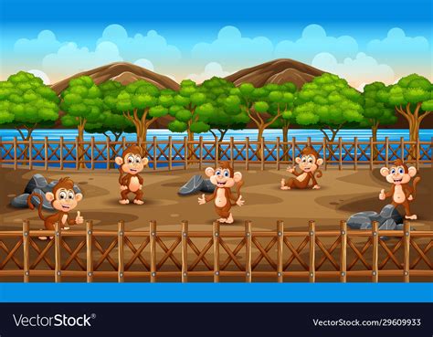 Scene With Group Monkey At Zoo Royalty Free Vector Image