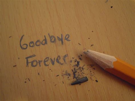 Goodbye, Forever (now it's for real) | Lucius Reports