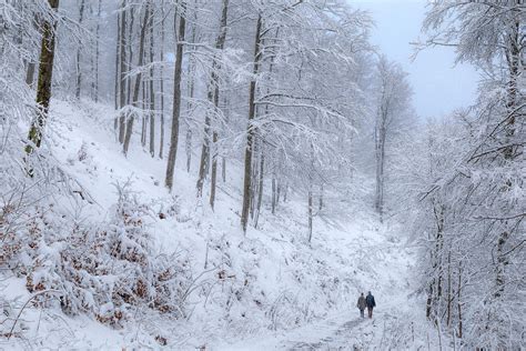 Walking In A Winter Wonderland Photograph By Mieneke Andeweg Van Rijn