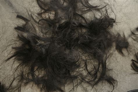 髪をバッサリ切った女子は本当に失恋したのか美容師が調査してみた o i k くせ毛カット専門美容室