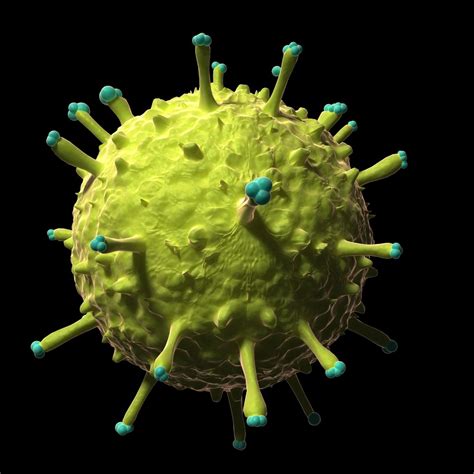 Photos 9 Deadly Viruses That Look Captivatingly Beautiful When Viewed