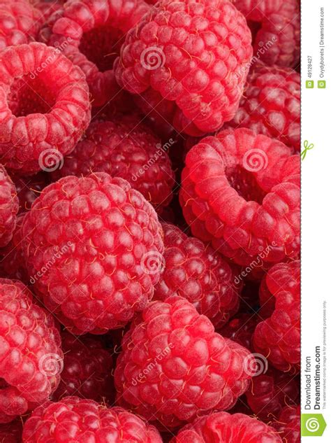 Raspberries Background Stock Image Image Of Healthy 49128427
