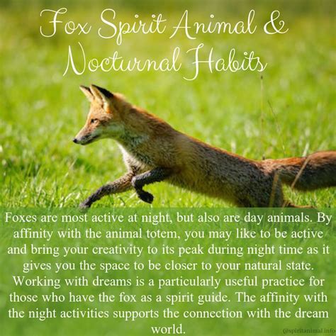 Fox Spirit Animal | Spirit animal meaning, Animal spirit ...