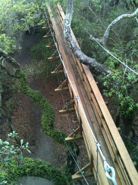 Obrázok myakka canopy walkway, sarasota: 17 Best images about Myakka River State Park on Pinterest ...