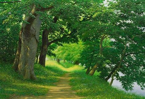 20 Hyper Realistic Scenery Paintings By Jung Hwan Forest Paintings