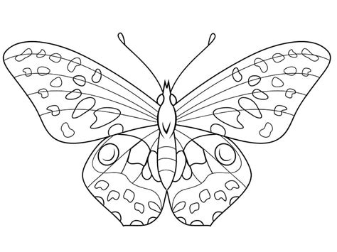 Dibujos De Una Hermosa Mariposa Para Colorear Para Colorear Pintar E