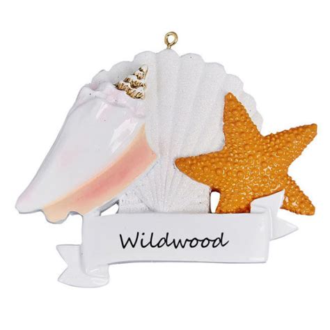 Wildwood Seashells Ornament Winterwood Gift Christmas Shoppes