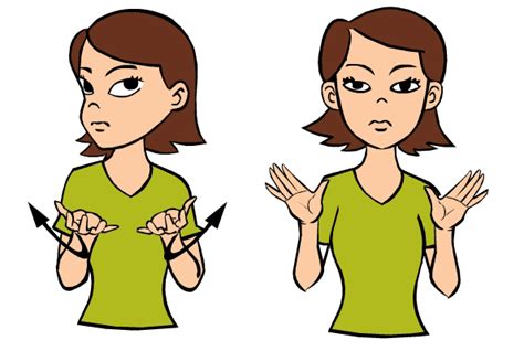 (1) there is no such thing as a single sign language, any more than there is such a thing as a single oral language. Don't Want