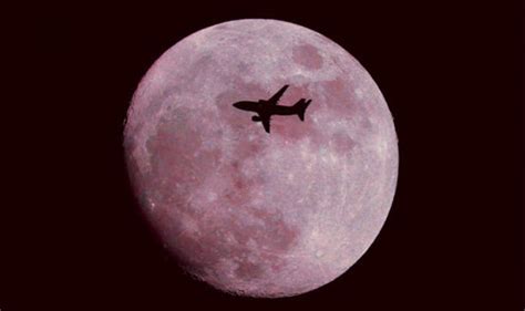 Rejoice You Can See The Full Pink Moon This Friday Wonder