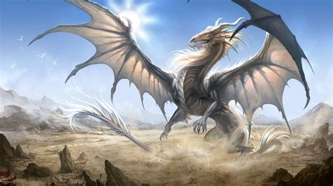 White Dragon Wallpapers Wallpaper Cave