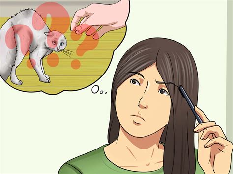 How To Tame A Feral Cat 14 Steps With Pictures Wikihow