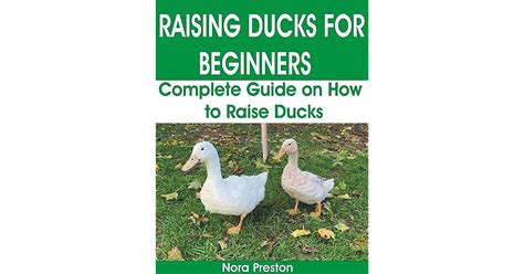 Raising Ducks For Beginners Complete Guide On How To Raise Ducks By