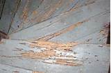 Termite Damage Door Frame