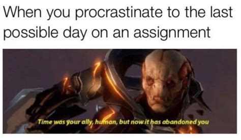 So Many Assignments Due And Here I Am Posting Memes On Reddit Rmemes