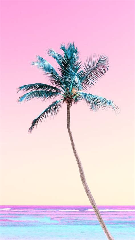 Matt Crump Photography Iphone Wallpaper Pastel Palm Tree Sunset
