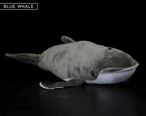 212 Sperm Whale Plush Toy Stuffed Animal Whale Etsy