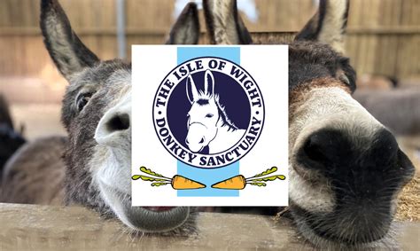 Coopers Fire Raise £180 For The Iow Donkey Sanctuary News