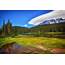Usa Parks Scenery Forests Lake Grass Mount Rainier National 