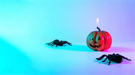 Halloween Design Black Night Spider Scary Spooky Pumpkin On Night