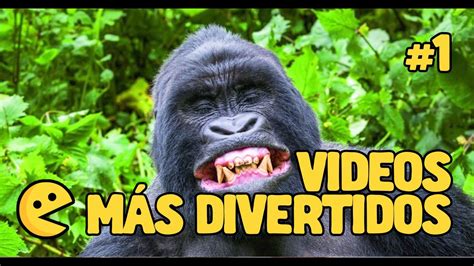 Videos Más Divertidos De Internet 2019 Videos Chistosos Caídas