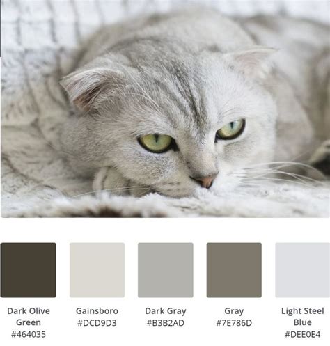 Cat Palette In 2020 Cats Palette Animals