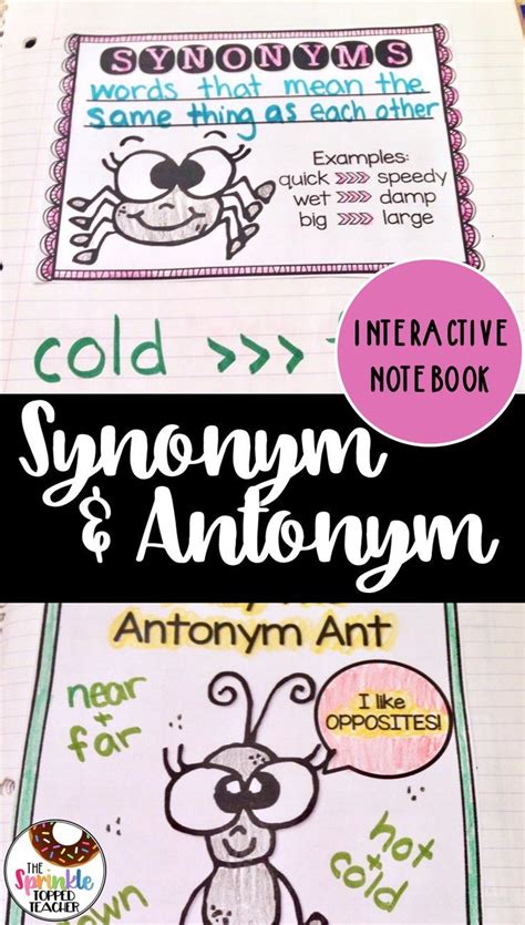 Synonyms And Antonyms Interactive Notebook Interactive Notebooks