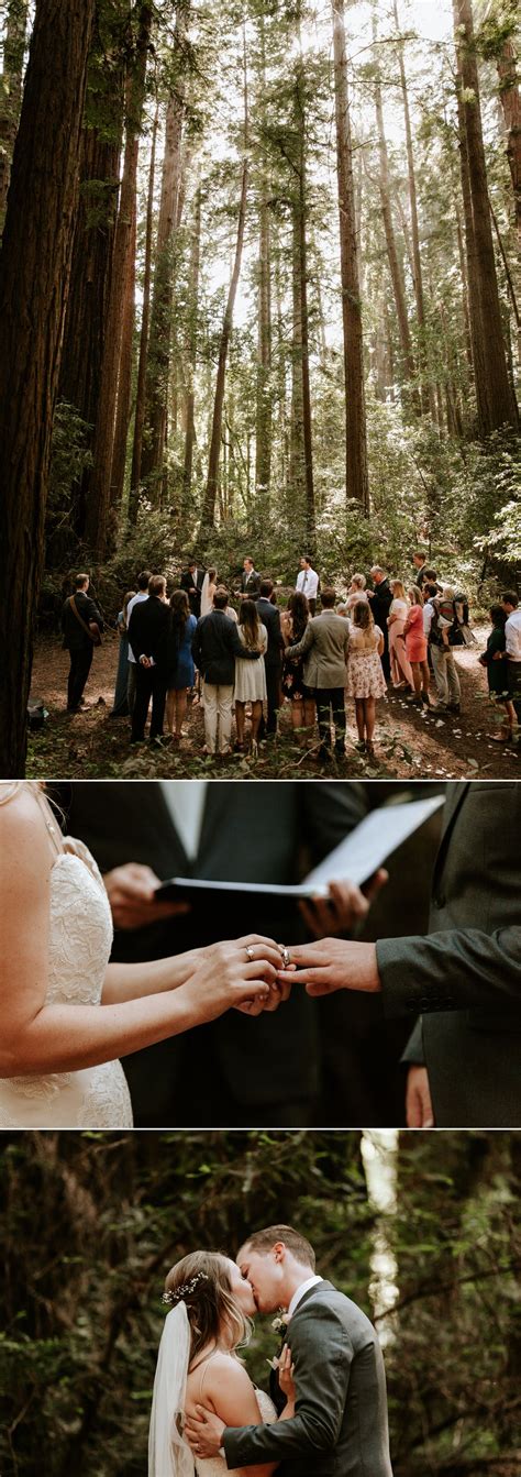 Intimate Wedding At Henry Cowell Redwoods Paige Nelson Photography