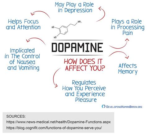 How To Boost Your Dopamine Levels What It Will Do For You