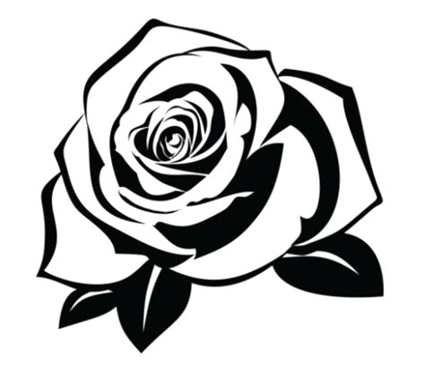 Black And White Rose Tattoo Png File Download Free Png Arts