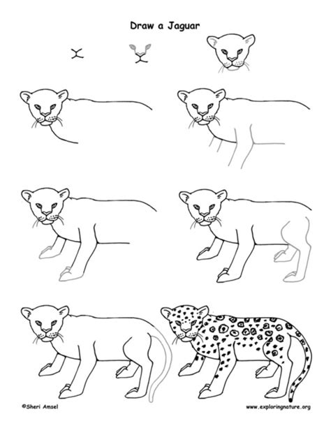 You can then witness how easily and effortlessly i've developed the shape of that difficult animal. How To Draw Easy Animals Step By Step Image Guide