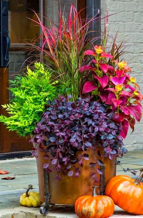 1550 Best Images About Container Gardening Ideas On Pinterest