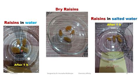 Simple Science Experiment Osmosis With Raisins Youtube