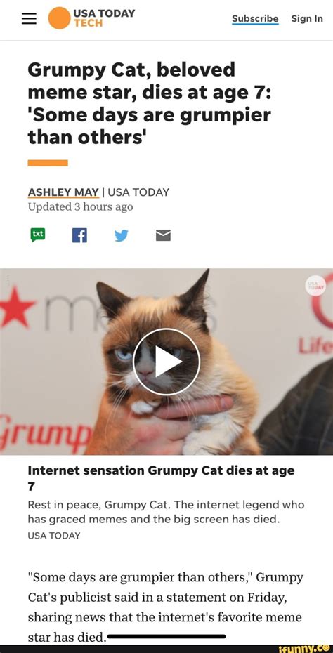 Grumpy Cat Beloved Meme Star Dies At Age 7 Some Days Are Grumpier