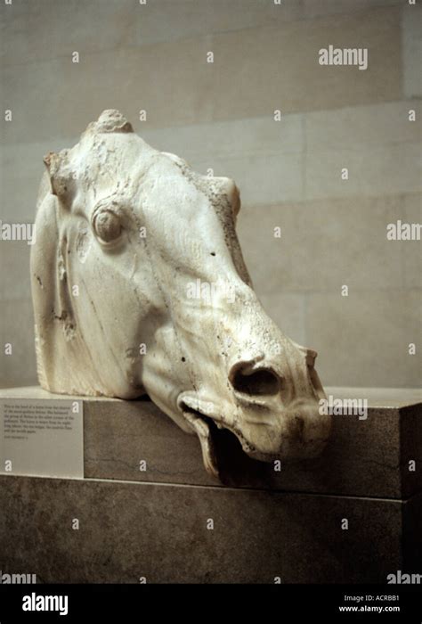 Marble Carving Of Head Of Horse Of Selene From The Parthenon In The
