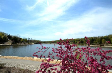 Resort living at stonebridge resort in branson mo.resort living is always special, but stonebridge resort branson mo has that little something extra that draws a certain demographic to its gates: Stonebridge Resort (Branson West, MO) - Resort Reviews ...