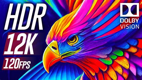 Amazing Colourfully 12k Hdr 60fps Dolby Vision Youtube
