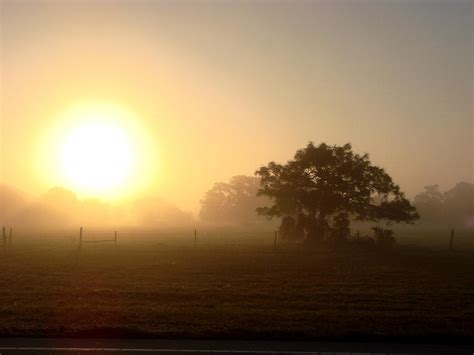 Country Morning Sunrise Photograph By Kimberly Camacho
