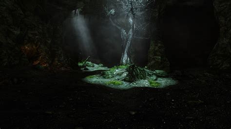 Tree In A Cave At Skyrim Special Edition Nexus Mods And Community